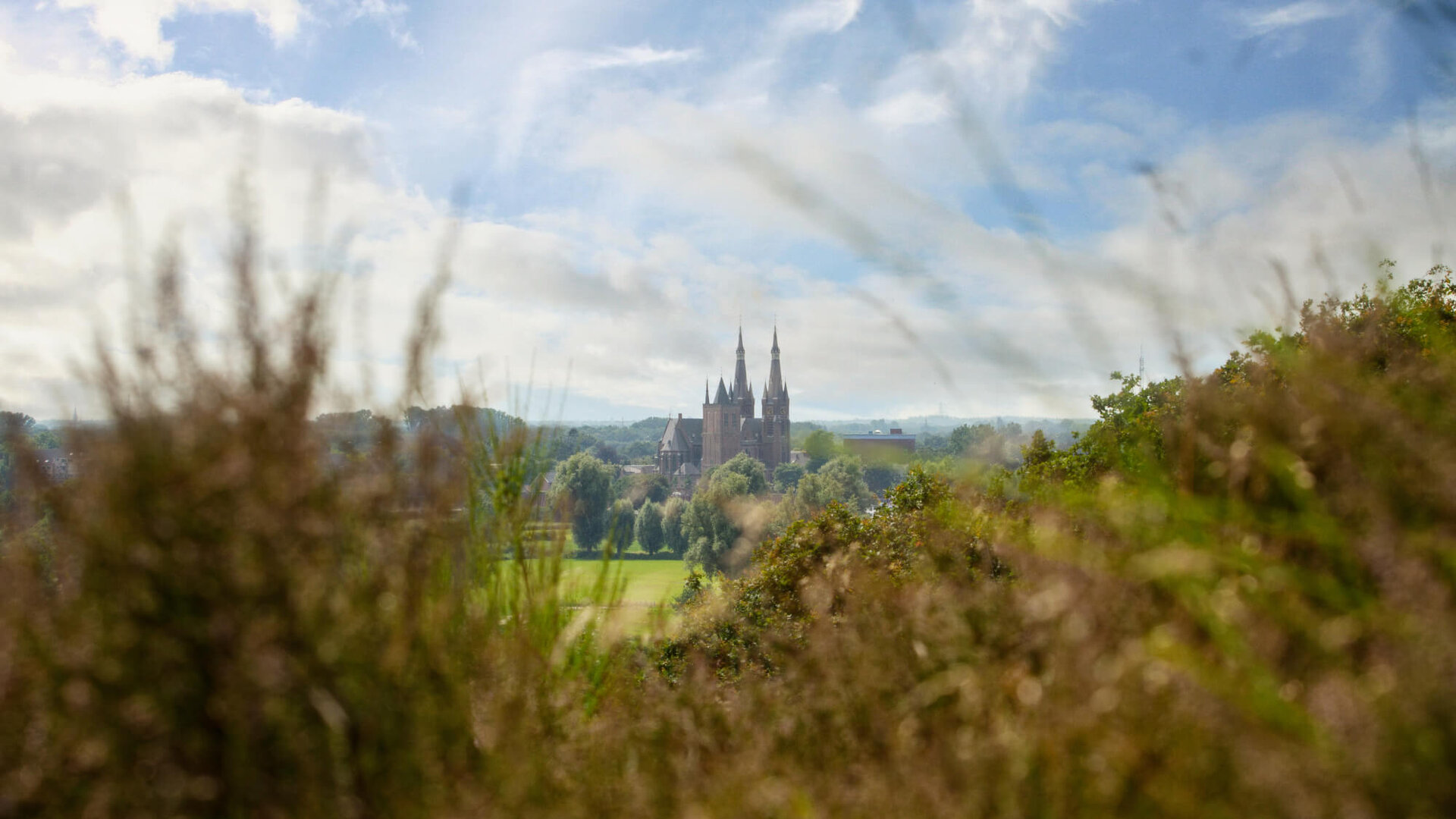 Achtergrondafbeelding Land van Cuijk