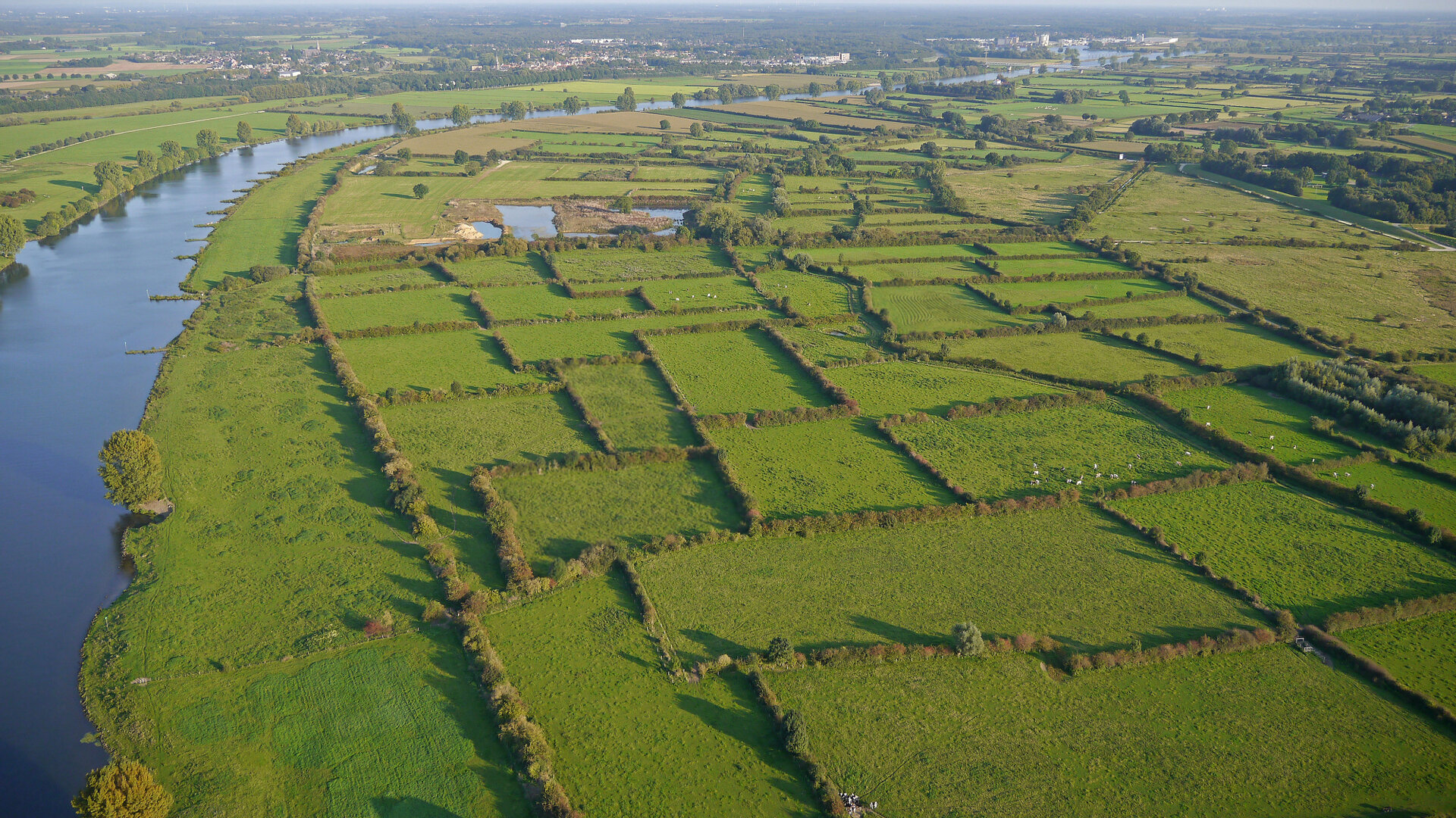Achtergrondafbeelding Land van Cuijk