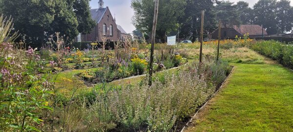 Samen wandelen voor SamenTuin Boxmeer op zondag 4 oktober
