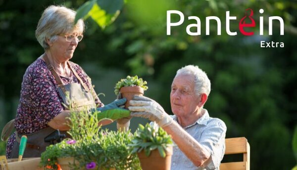 30 jaar Pantein Extra: vier het mee