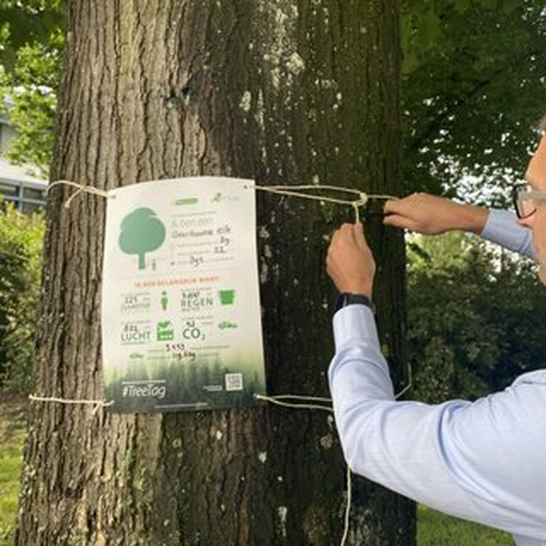 Bomen in Land van Cuijk krijgen een TreeTag