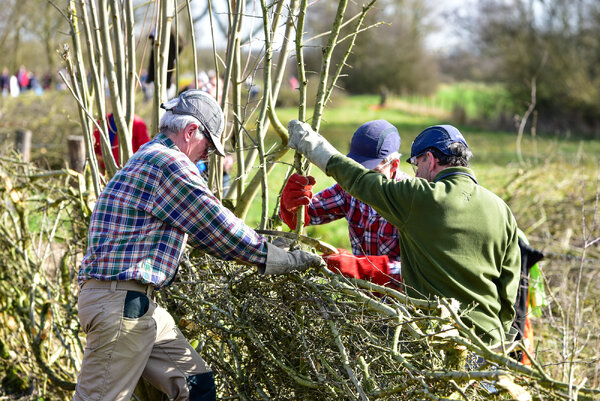 Nederlands Kampioenschap Maasheggenvlechten op 8 maart