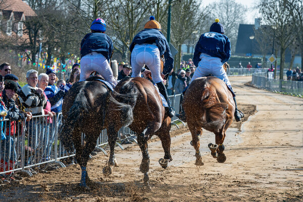 Metworst 2026: Een bijzonder breed favorietenveld!