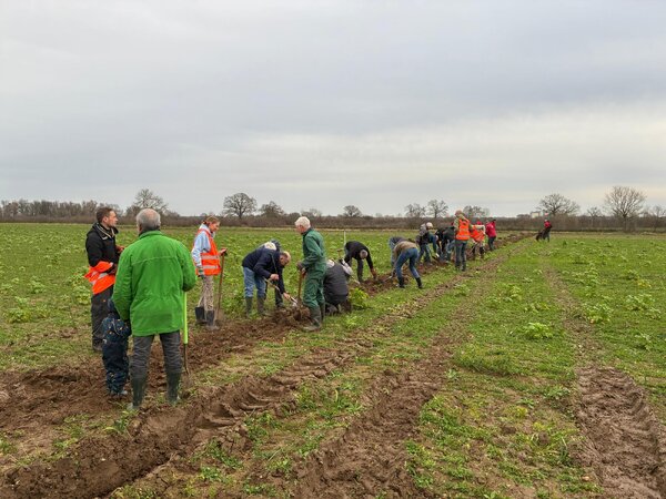 Vrijwilligers planten 400 meter hagen