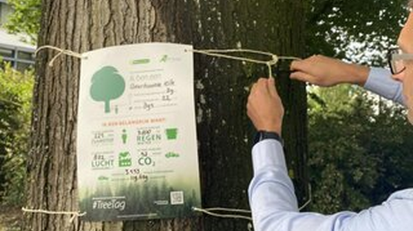 Bomen in Land van Cuijk krijgen een TreeTag