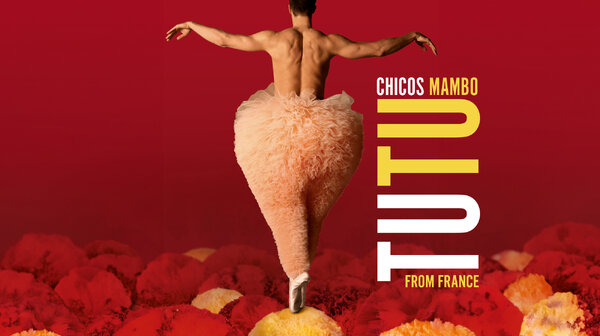 TUTU biedt een hilarische aanvaring tussen dans en comedy 