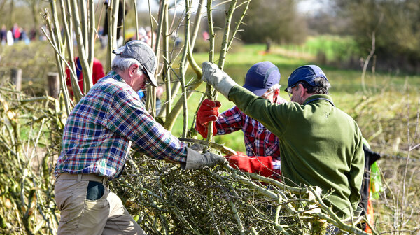 Nederlands Kampioenschap Maasheggenvlechten op 8 maart