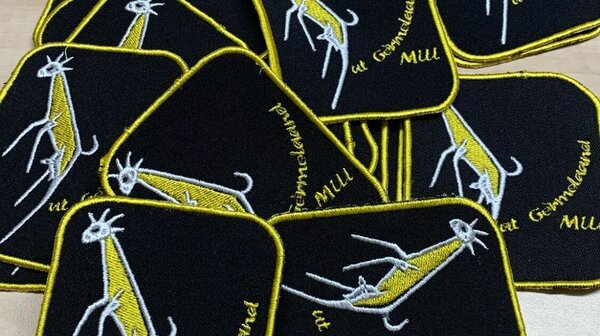 Carnavalsbadges steeds populairder in Mill