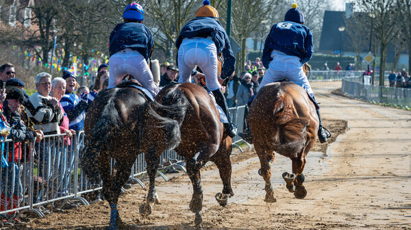 Metworst 2026: Een bijzonder breed favorietenveld!