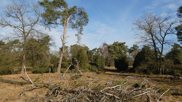 IVN Natuurgidsenopleiding 2026-2027 in het Maasdalgebied: Iets voor jou?
