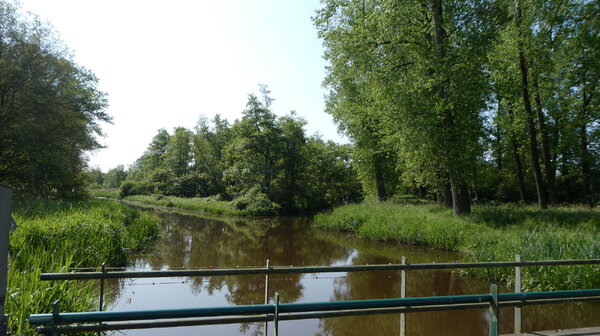 Leer de unieke natuurgebieden van onze regio kennen